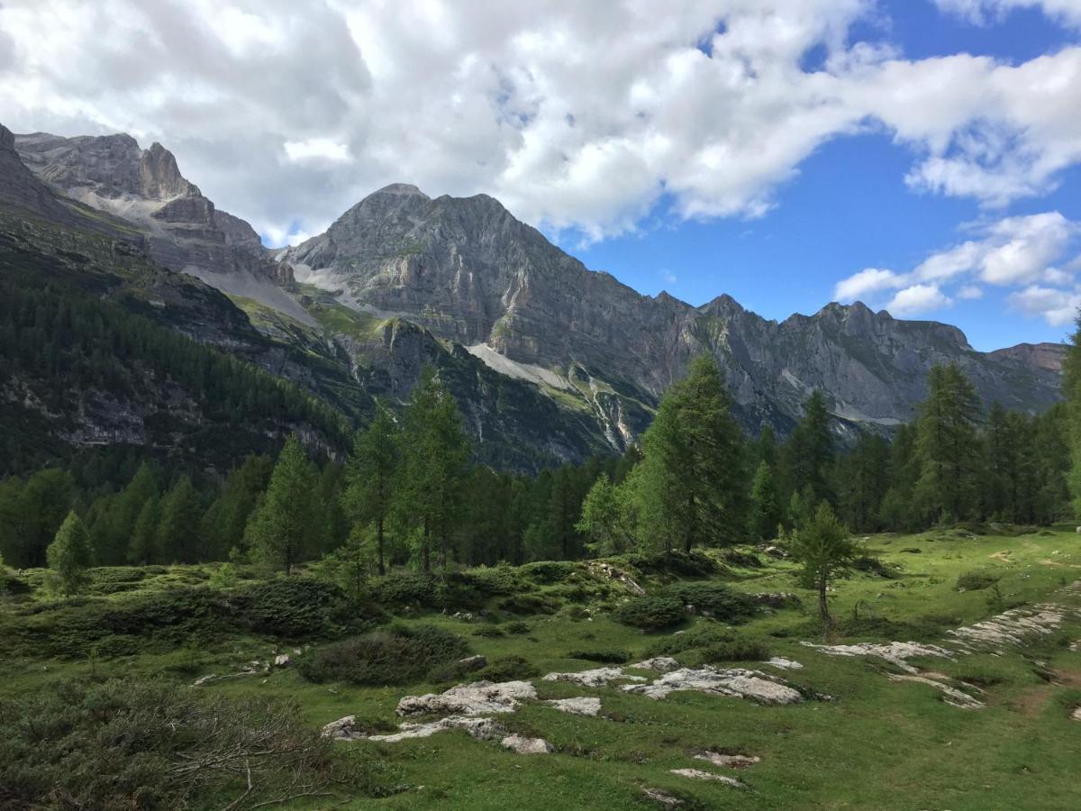 La Casa Dei Nonni Appartement Tassullo Buitenkant foto